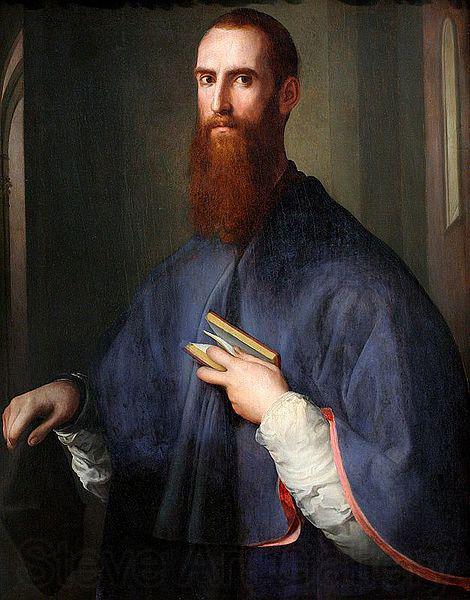 Jacopo Pontormo Portrat des Niccolo Ardinghelli